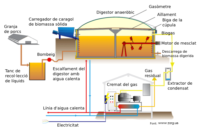 Planta de biogas per tractar purins