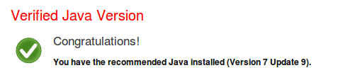 Java verificat